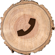 phone icon